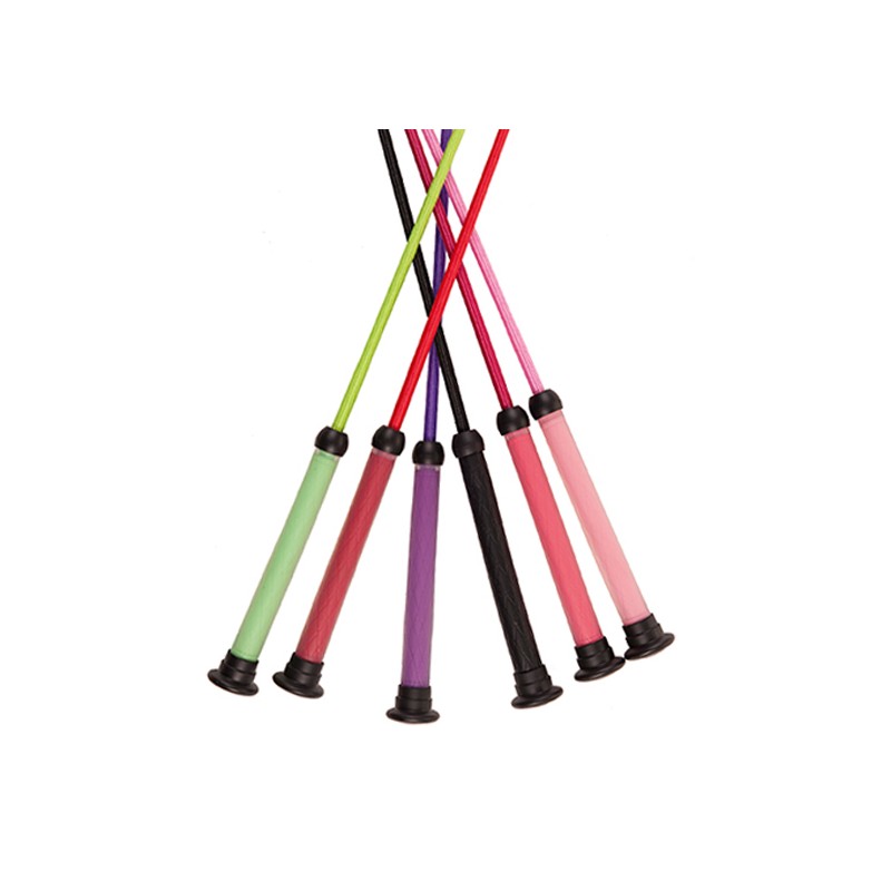 Cravache stick de dressage