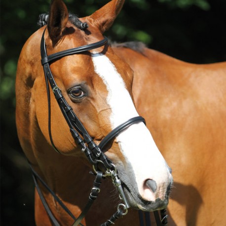 Bride de dressage en cuir Classical Protanner