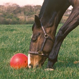 Snak a ball Likit