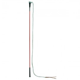 Carrot stick