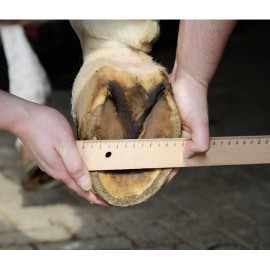 Chaussure de dépannage pour cheval