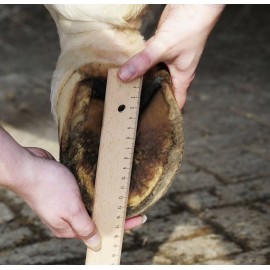 Chaussure de dépannage pour cheval