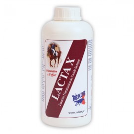 Lacta X Rekor condition physique 1L