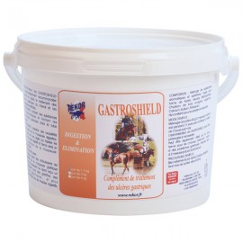 Gastroshield Rekor digestion 1,7kg