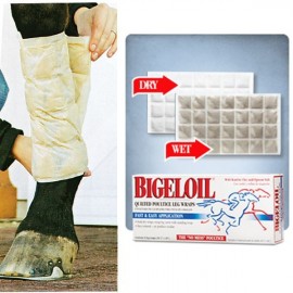 Sous bandes d'argile Bigeloil Absorbine