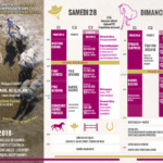 La Fête du Cheval de Levens 2018