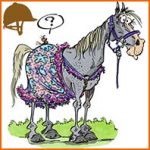 Choisir une couverture avec coupe et options adaptées à son cheval