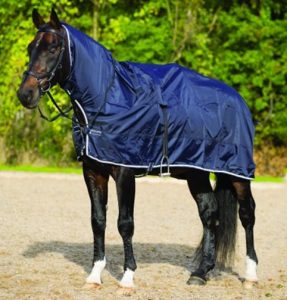 chevaux-equip-hiver-2-4