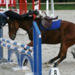 Bien choisir sa bombe d’équitation